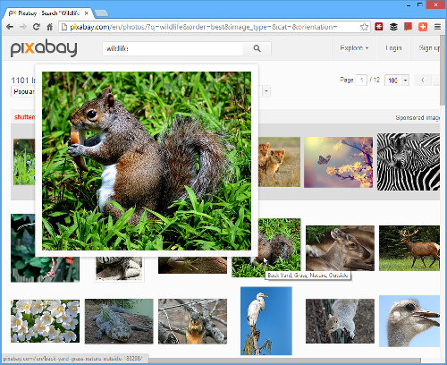 Pixabay search results