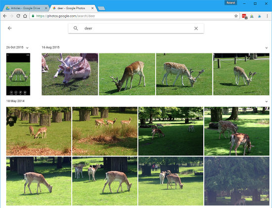 Search for objects, scenes and locations in Google Photos